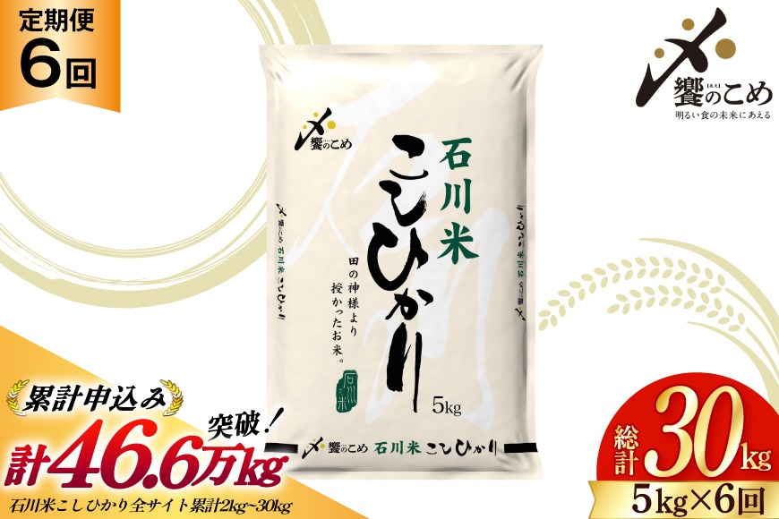 米 定期便 石川米 こしひかり 5kg 6回 計 30kg [中橋商事 石川県 宝達志水町 38601131] コシヒカリ お米 こめ おこめ ごはん ご飯 6ヶ月 ６ヶ月 6か月 ６か月 5キロ ５キロ 30キロ ３０キロ 白米 精米 石川 石川県産
