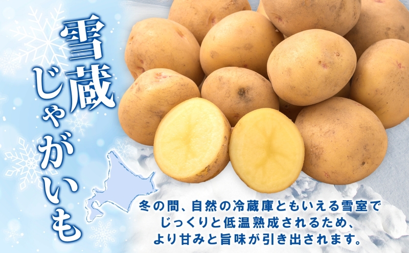 雪蔵じゃがいも 10kg とうやＬサイズ 2026年3月上旬～3月末までお届け ジャガイモ 芋 甘い なめらか しっとり ポタージュ カレー 調理 料理 煮込み料理 雪蔵 旬 季節 農作物 野菜 根菜
