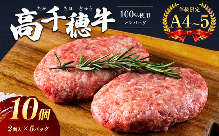 高千穂牛１００％使用　ハンバーグ(１０個)