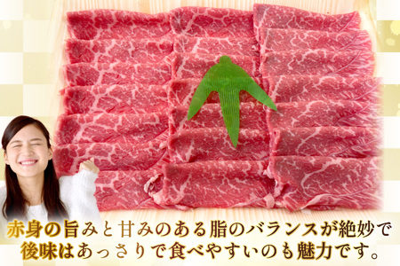 AJ558 【12回定期便】長崎和牛 もも スライス 約1kg (500g×2P)   [ まるしん商会 長崎県 島原市 ]