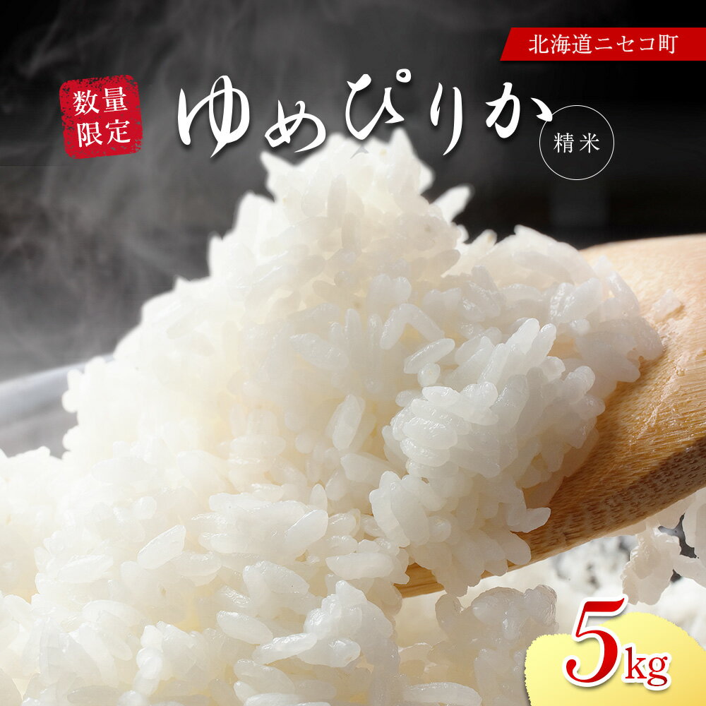 【ふるさと納税】【北海道ニセコ町産】ゆめぴりか 精米 5kg 〈数量限定〉【02039】