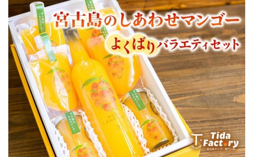 宮古島のしあわせマンゴー　よくばりバラエティセット(T115)