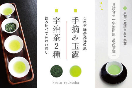 宇治茶詰合せ 手摘み玉露 雁が音 最高茶師 宇治茶詰合せ【2種】