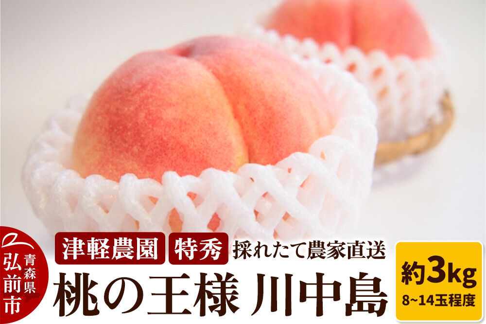 【26年8月発送】桃 約3kg(8～14玉程度) 青森【2026年産 桃の王様 川中島】もも 特秀 果物 フルーツ くだもの 津軽農園 採れたて 農家直送 [おいしい ピーチ フルーツ もも 果実 果物 青森 津軽 桃 美味]