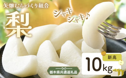 N08 梨 なし 新高梨 10kg フルーツ 先行予約 矢畑むらづくり組合《9月中旬-9月末頃出荷》 栃木県【栃木県共通返礼品　栃木県産】【配送不可地域あり】(離島)