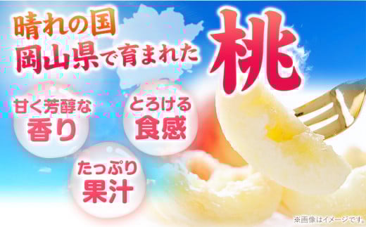 【先行予約】岡山の桃 約750g 《2026年6月下旬-9月上旬頃出荷》 ご家庭用 訳あり 白桃 岡山 旬 モモ もも 先行予約 送料無料 果物 岡山県 笠岡市 清水白桃 白鳳 白麗 クール便