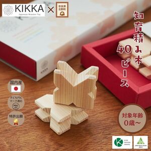 積木 KIKKA 知育積み木 40ピース [BRDP002]
