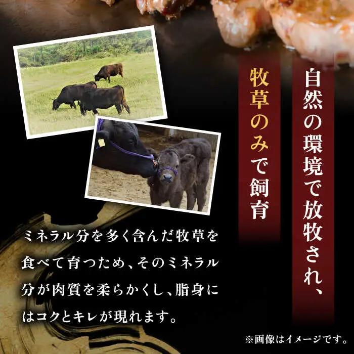 【お中元】【特選】壱岐牛 切り落とし 500g JDD002 牛肉