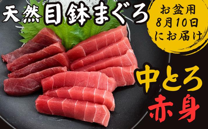 【お盆用】天然目鉢鮪 中とろ2柵・赤身1柵＜A2ランク＞（2026年8月10日にお届け）　M005-005