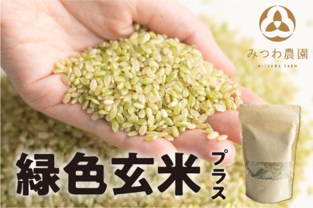 みつわ農園 若玄米 青玄米 300g×8袋 緑色玄米 GABA豊富 飛騨米 玄米 syun48