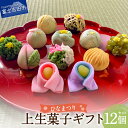 【ふるさと納税】 ひなまつり 限定 上生菓子 練り切り 12個 セット ひな祭り 贈答 和菓子 生菓子 スイーツ 2025 プレゼント ギフト 桃の節句 お祝い お菓子 餡 老舗 化粧箱入り 贈答用 詰め合わせ 各種和菓子セット 【2025年2月27日発送予定】