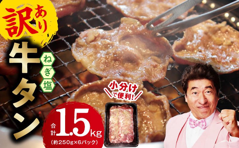 ねぎ塩 牛たん（成型）合計 1.5kg 小分け 250g×6【牛タン 牛肉 焼肉用 薄切り 訳あり サイズ不揃い】 G1780