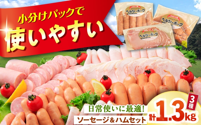 
                  ハム ウインナー 詰め合わせ 1.3kg 大村市 おおむら夢ファームシュシュ/人気詰め合わせ ロースハム ハムウインナーセット ハム詰め合わせ ウインナー ウィンナー ういんなー あらびきウインナー フランク [ACAA495]
                
