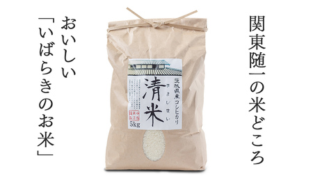 令和7年産 茨城県産 精米 コシヒカリ 5kg （5kg×1袋）  白米 清米 キヨシマイ こしひかり 米 コメ こめ 単一米 限定 茨城県産 国産 美味しい お米 おこめ おコメ