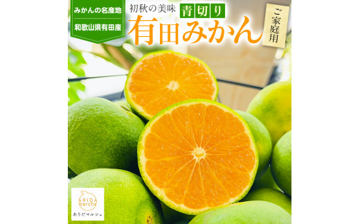 
                  ［先行予約］有田育ちのご家庭用青切り 有田みかん 10kg ［2026年9月中旬より発送］［訳あり］［サイズ混合］［MS19］
                