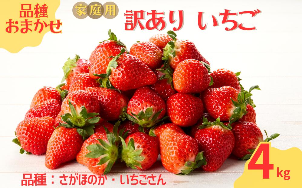 ★予約受付★平川いちご農園【2月～5月 順次配送】玄海町産いちご（家庭用・訳あり）4kg ／ 送料無料 いちご さがほのか いちごさん 希少 果物 くだもの フルーツ デザート 予約受付