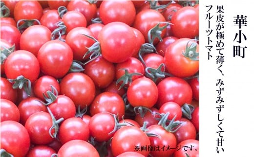 本田農園のかがやきトマト 1箱 約30～36個 完熟トマト｜石川県 小松市 本田農園