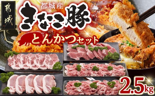 
                  「きなこ豚」とんかつ2.5kgセット〔12-004〕_(都城市) ブランド豚のやわらかい豚肉 豚ロースとんかつ 豚肩ロース豚カツ ヒレトンカツ ウデ・モモ小間切れ ひれ肉 腕 もも こま切れ
                