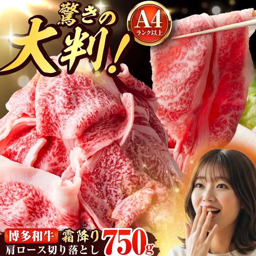 【A4-A5】博多和牛 大判霜降り 贅沢切り落とし 750g (250g×3P) [BGAB110]