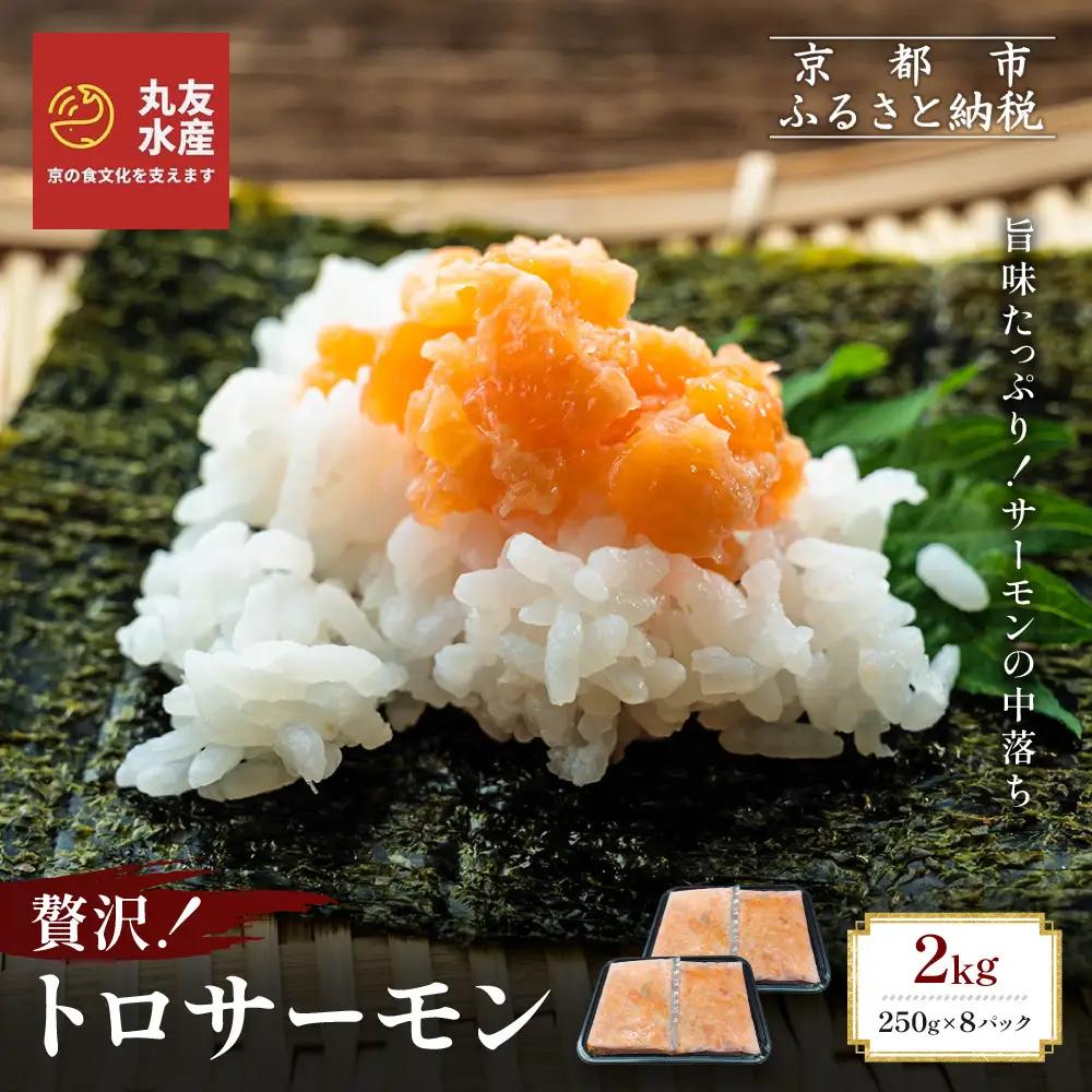 トロサーモン 250g×8パック ノルウェー産 サーモン
