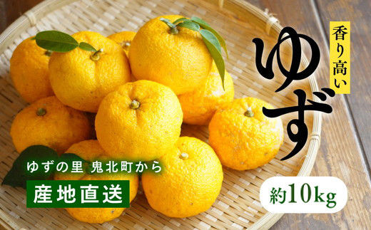 
            愛媛県鬼北町産ゆず　約10kg【 果物 柑橘 国産 日本産 香りが強い 良質なゆず ゆずの里 産地直送 ゆずジャム ゆず茶 】※2024年10月中旬～11月下旬頃に順次発送予定 ※離島への配送不可
          