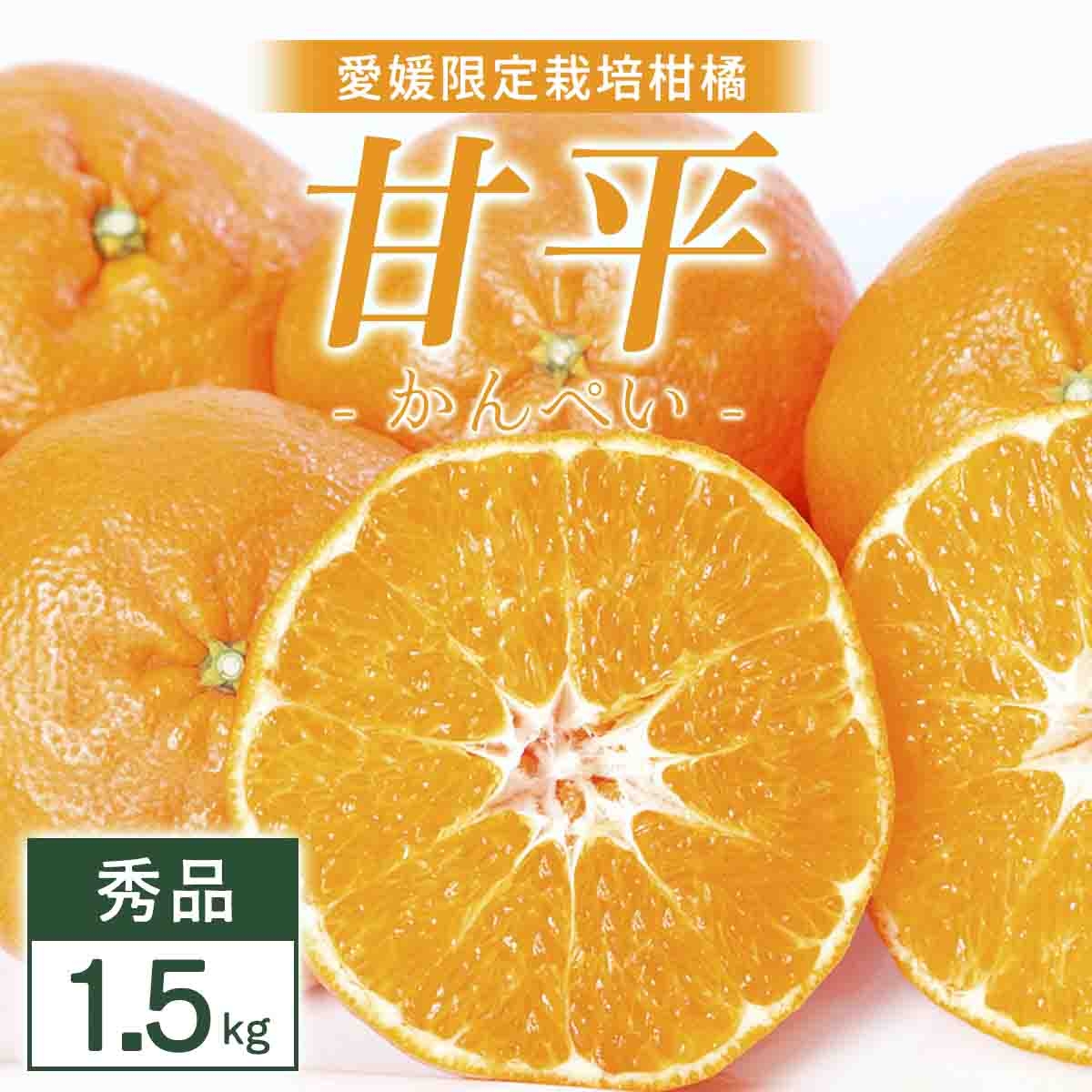 
                  【先行受付】甘平 1.5kg 愛媛県 八幡浜市 西宇和地区 扁平で濃い味＜D25-330＞【1714513】 YWTAP271
                