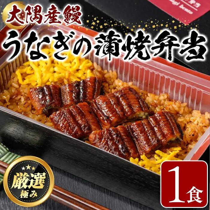 【0065710a】《土用の丑の日受付中！》＜おためし＞大隅産鰻の冷凍弁当(冷凍品)(1食分・計240g タレ、山椒付) 丑の日 うなぎ 高級 ウナギ 鰻 うなぎの蒲焼 蒲焼 国産 ごはん ご飯 お米 おかず 鹿児島 ふるさと レンチン 電子レンジ 【南嘉起屋】