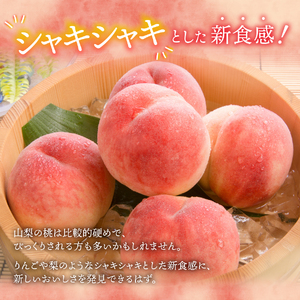 【 2024年 先行予約 】山梨 の 朝どれ 桃 2Kg　大玉5玉～7玉 山梨桃 桃 大玉桃