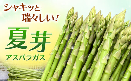 【先行予約】甘くやわらか！こだわり 夏芽 アスパラガス 約1kg【ふぁふぁふぁーむ】あすぱら 野菜 アスパラ[ICS002]