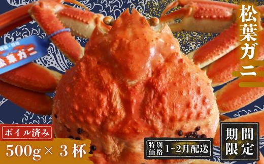 【期間限定配送！1～2月発送希望の方へ！】松葉ガニ500g×3杯〈ボイル〉松葉ガニ マツバガニ　冬の旬。贅沢の極みをご家庭で。松葉カニ マツバカニ カニ 蟹 新鮮 旬 プレゼント 贈与 お祝い事 贈り物 祝辞 大人数 家族 親戚 隠岐 西ノ島町