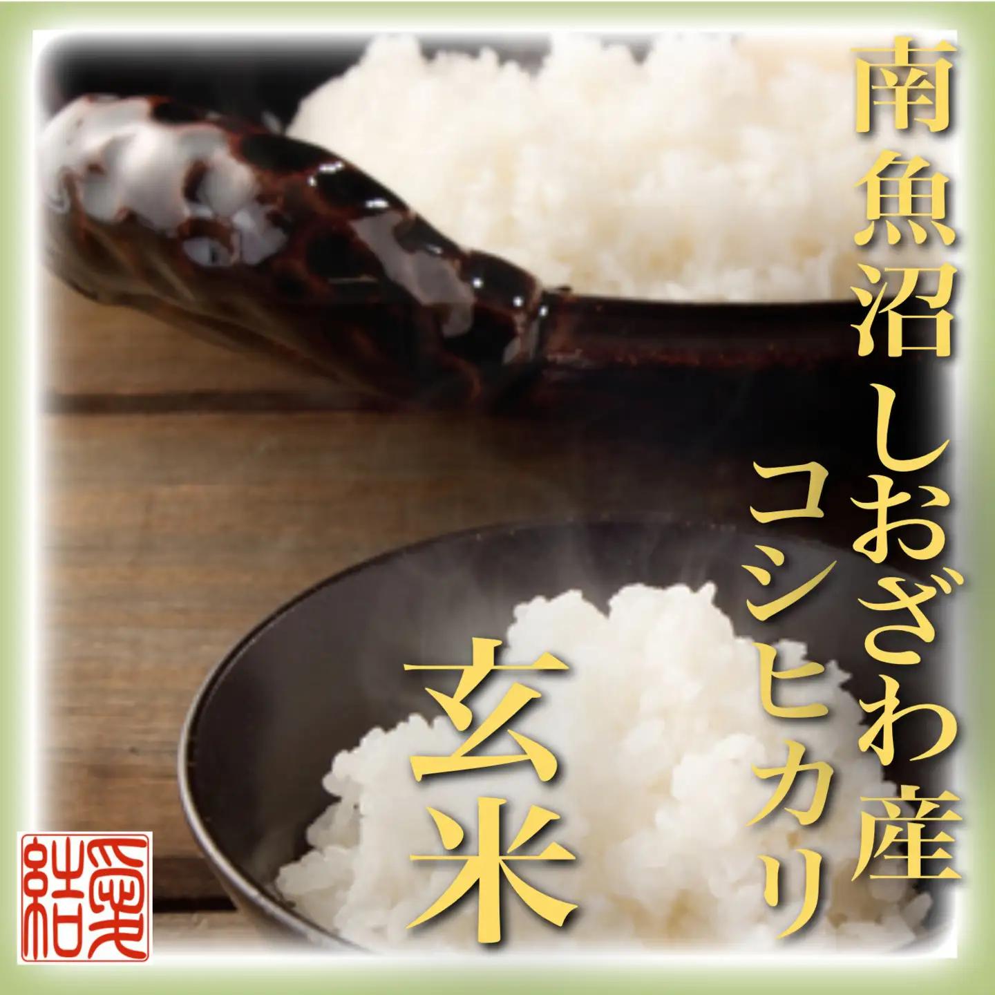 【令和7年】【定期便】玄米 南魚沼しおざわ産コシヒカリ5Kg×3ヶ月｜玄米