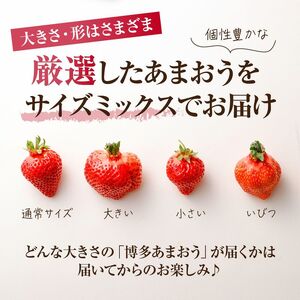 【アフター保証】4月発送！JAよりお届け！「博多あまおう」約280g×2パック【ほたるの里】_HA1938