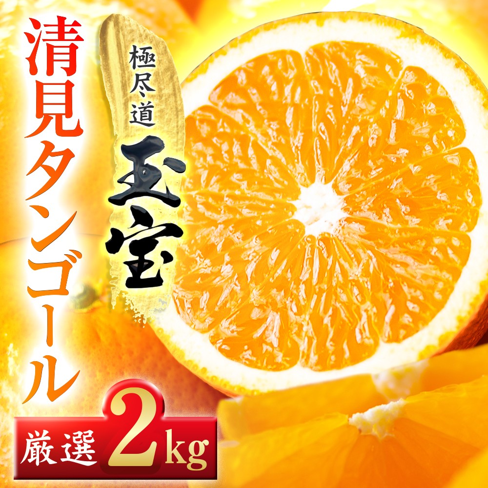 
                  ＜愛媛名産＞玉宝清見タンゴール　2kg＜A64-81＞【1623964】 YWTY070
                