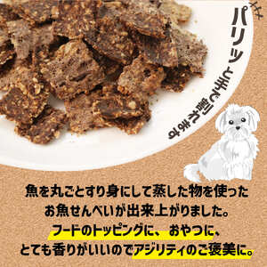 訳あり ペット用 オートミールのお魚せんべい ( 鯵 カマス 鰯 ) 200g ＜ ペット用 ドライ 犬 魚 さかな せんべい オートミール ドッグフード 手作り おやつ 詰合せ 愛犬用 愛犬用ご飯 