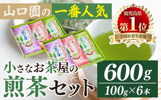 ＜お茶生産量日本一の鹿児島県産！＞小さいお茶屋の煎茶セット(煎茶100g×6本・合計600g) 鹿児島県産 煎茶 セット【お茶の山口園】A185-v01