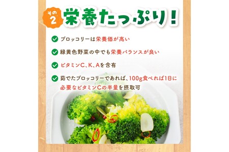 【先行予約】もりもり！ブロッコリー 約2kg（2025年11月中旬～発送）