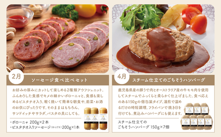 【定期便 全6回：偶数月発送】お肉のおかず定期便［みなみさつまのミートデリ］ ハンバーグ ウインナー ソーセージ ローストポーク ハム ピスタチオ入り フランクフルト ミートローフ ローストビーフ 鹿
