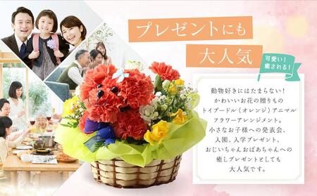 アニマルフラワーアレンジメント トイプードル（オレンジ）| 花 カーネーション ギフト お祝い 犬 フラワー 生花 プレゼント 可愛い インテリア 飛騨高山 下出生花店 BB002