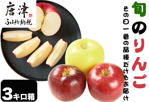 『先行予約』【令和7年8月中旬発送】厳選 九州旬のりんご 3キロ箱(8～12玉入) 九州 リンゴ 林檎 フルーツ 果物 つるが 秋映 紅将軍 シナノスイート シナノゴールド 3kg