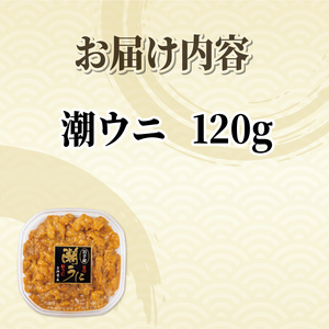潮ウニ 120g 冷凍 ＼ うに ／