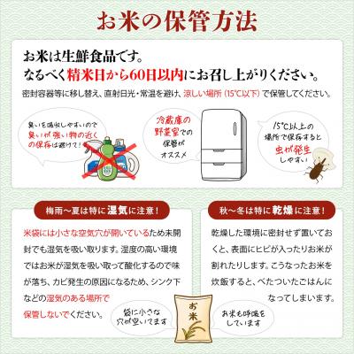 ふるさと納税 境町 【令和7年産】茨城県産 コシヒカリ20kg (10kg×2袋) 白米 JA茨城むつみ こしひかり K |  | 02