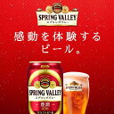 【ふるさと納税】キリンビール キリン　スプリングバレー(SPRING　VALLEY)豊潤〈496〉 350ml 2ケース（48本入）【横浜工場製】 | お酒 さけ 人気 おすすめ 送料無料 ギフト