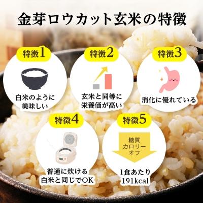 ふるさと納税 坂戸市 金芽ロウカット玄米ごはん150g×3P×8(玄米100%・簡単便利なパックごはん・非常食にも) |  | 03