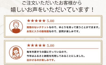 動物園 市原ぞうの米 10kg+市原ぞうの国 ペアチケット ゾウ 象 動物 お米 白米 チケット 招待券 ショー ふれあい 千葉