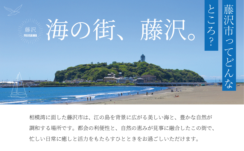 ハウスブルーベリー 生 冷蔵 先行予約 4月出荷 400g 国産 果物 数量限定 加藤園芸
