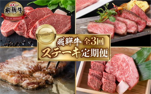 《定期便3回》飛騨牛 ステーキ定期便 プレミアム 豪華 焼肉 ヒレ 赤身 霜降り 牛肉 おすすめ 人気 ヒレ サーロイン  [S485]