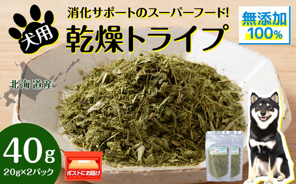 
            犬 おやつ 無添加 国産 乾燥グリーントライプ 40g (20g×2) ペット エサ 餌 浜頓別 北海道
          