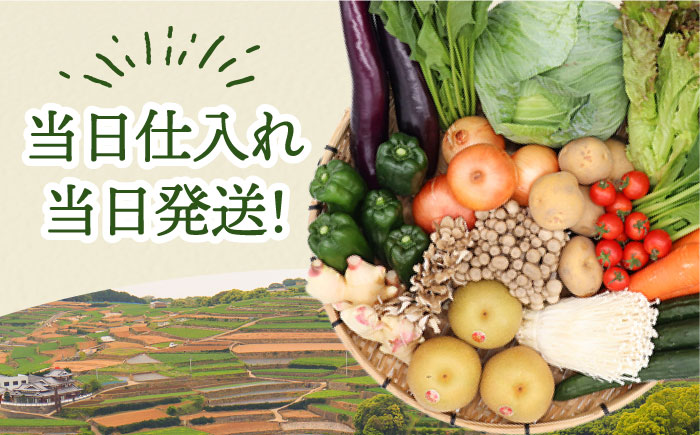 【春秋冬限定コース】豪華！野菜 果物 きのこセット 15品目以上 9回定期便 / 野菜定期便 やさい定期便 フルーツ 果物 キノコ 詰め合わせ / 南島原市 / 吉岡青果 [SCZ024]