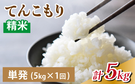【先行予約】25年10月中旬以降順次発送 精米  5kg 富山県滑川産「てんこもり」与文のお米 / 産地直送 袋 ブランド米 お米 白米 ご飯 ごはん 富山 滑川市 アグリめぐみ [A-050004]