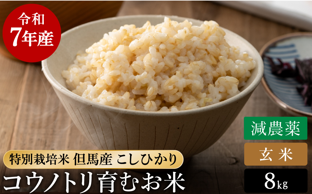 令和7年産 減農薬 玄米 特別栽培米 8kg コウノトリ育むお米 但馬産 こしひかり 兵庫県産(2kg×4袋) 減農薬 お米 8キロ 玄米 コウノトリ米 コシヒカリ コメ こめ ご飯 ライス 減農薬米